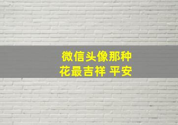 微信头像那种花最吉祥 平安